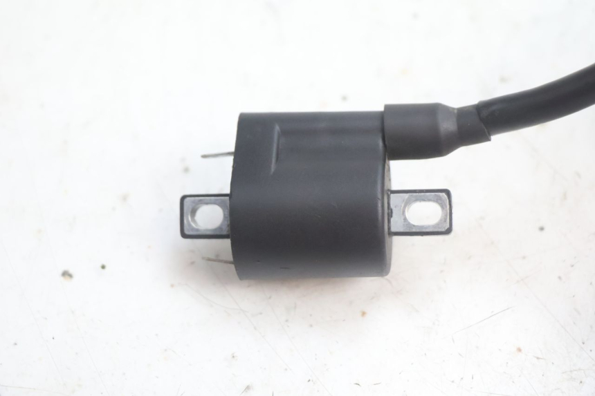photo de ZÜNDSPULE JM MOTORS OLDIES 4T 50 (2020 - 2026) - Zoom auf Gebrauchszustand