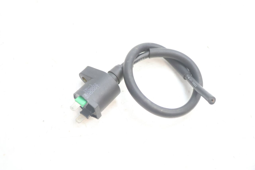 photo de ZÜNDSPULE VASTRO R-ONE 4T 50 (2014 - 2022) - Alternative Perspektive