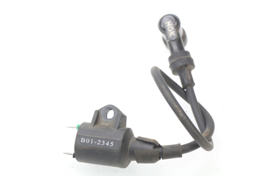 photo de ZÜNDSPULE RIDE RACE 2T 50 (2012 - 2015) - Hauptansicht