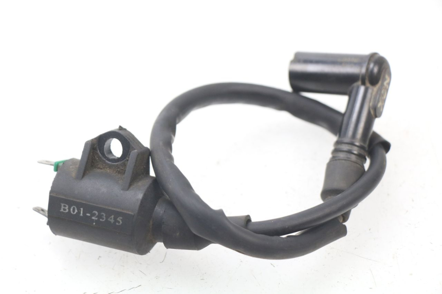 photo de ZüNDSPULE RIDE RACE 2T 50 (2012 - 2017) - Hauptansicht