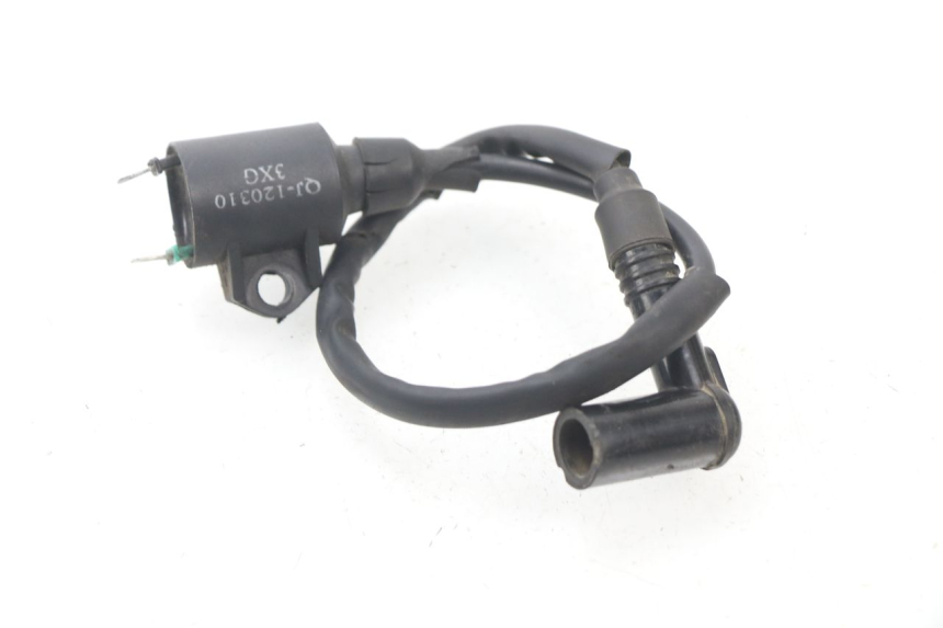 photo de ZüNDSPULE RIDE RACE 2T 50 (2012 - 2017) - Alternative Perspektive