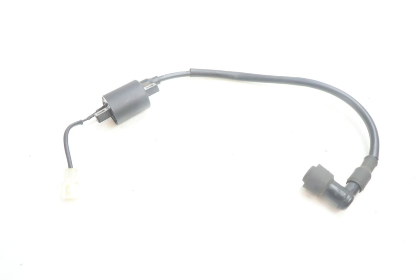 photo de ZÜNDSPULE TNT MOTOR ROMA 10' 2T 50 (2011 - 2018) - Technische Nahaufnahme