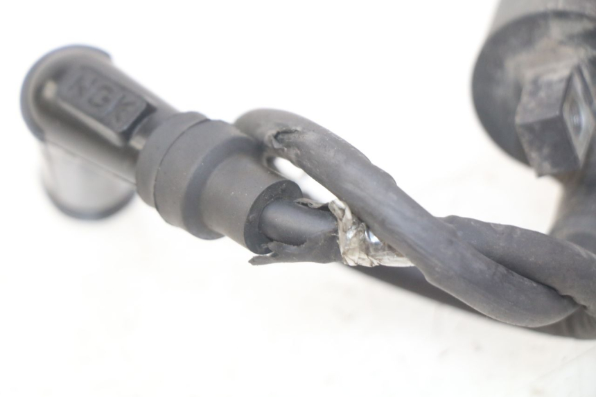 photo de ZüNDSPULE TNT MOTOR ROMA 10' 4T 50 (2019 - 2022) - Zoom auf Gebrauchszustand