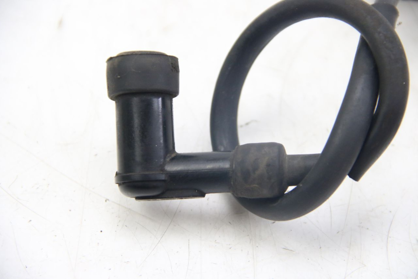 photo de ZüNDSPULE TNT MOTOR ROMA 12' 2T 50 (2007 - 2018) - Alternative Perspektive