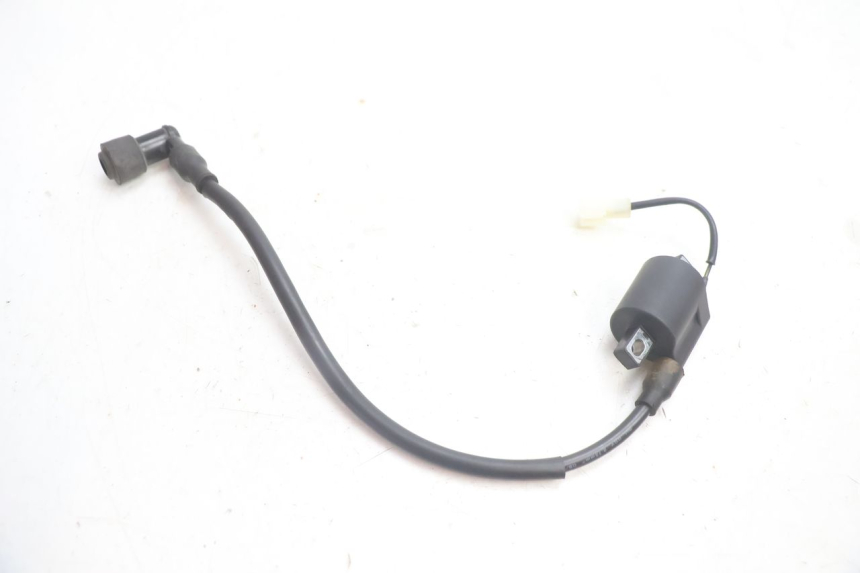 photo de ZüNDSPULE TNT MOTOR ROMA 12' 2T 50 (2007 - 2018) - Alternative Perspektive