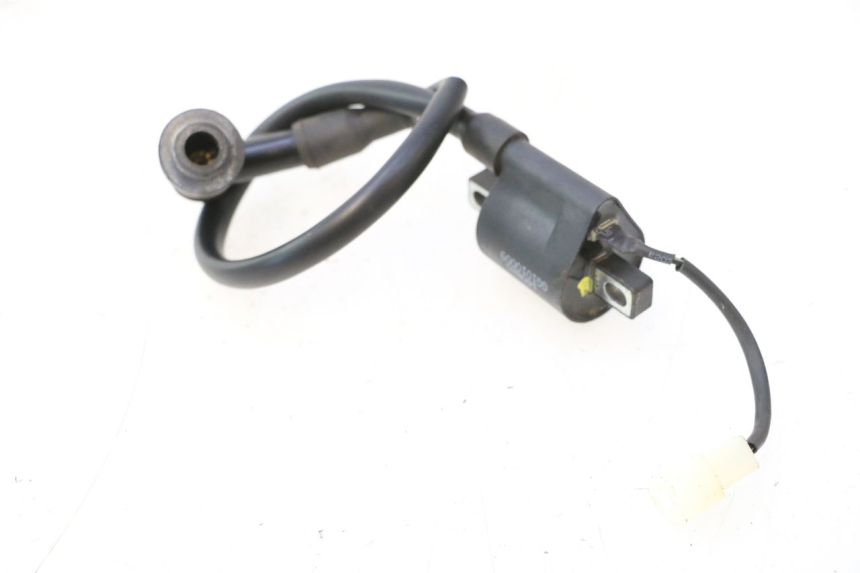 photo de ZüNDSPULE TNT MOTOR ROMA 12' 2T 50 (2007 - 2018) - Alternative Perspektive