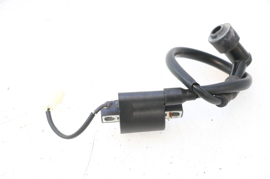 photo de ZüNDSPULE TNT MOTOR ROMA 12' 2T 50 (2007 - 2018) - Technische Nahaufnahme