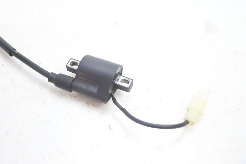 photo de ZüNDSPULE TNT MOTOR ROMA 12' 2T 50 (2007 - 2018) - Oberflächenzustand und Material