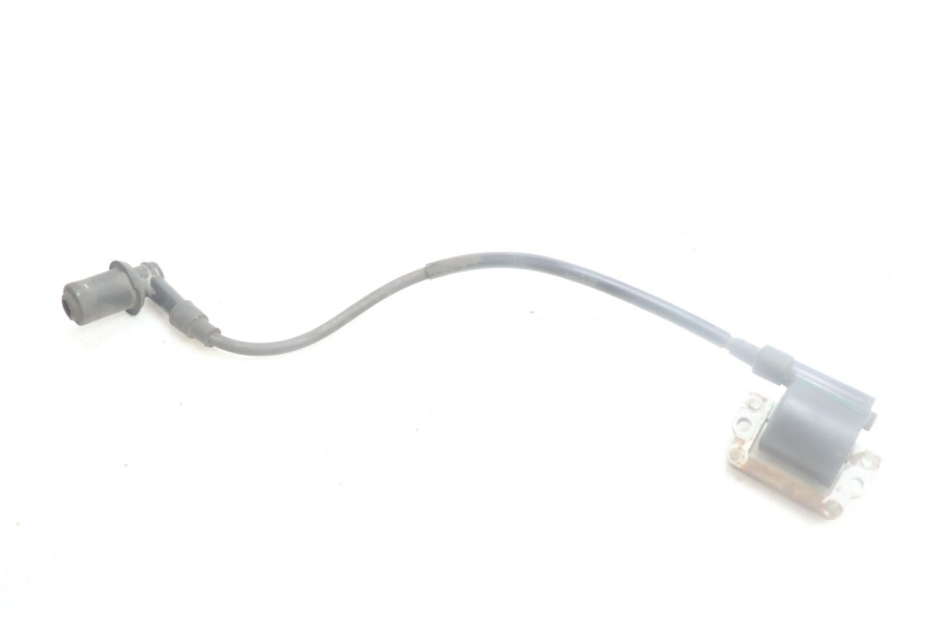 photo de ZüNDSPULE HONDA SCV LEAD 100 (2003 - 2007) - Hauptansicht