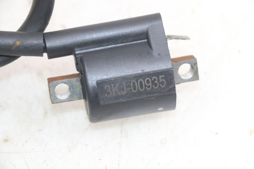 photo de ZüNDSPULE SHERCO SM-R 50 (2018 - 2021) - Detailansicht des Bauteils