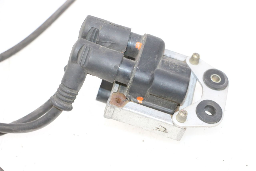 photo de ZÜNDSPULE DUCATI SS IE DS CARENEE 1000 (2002 - 2006) - Charakteristische Merkmale