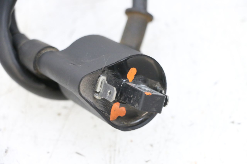 photo de ZÜNDSPULE NECO TEMPO 4T 50 (2022 - 2026) - Alternative Perspektive