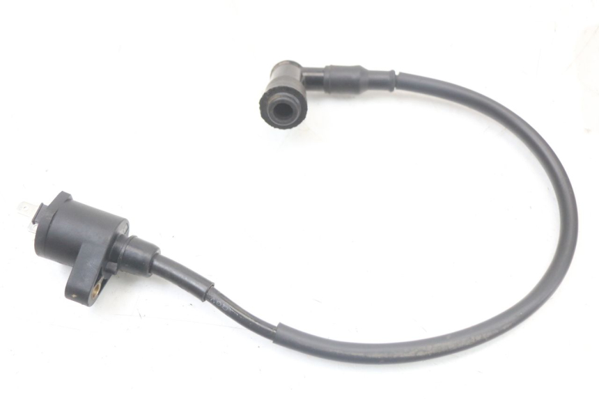 photo de ZÜNDSPULE NITRO MOTORS THUNDER 125 - Alternative Perspektive