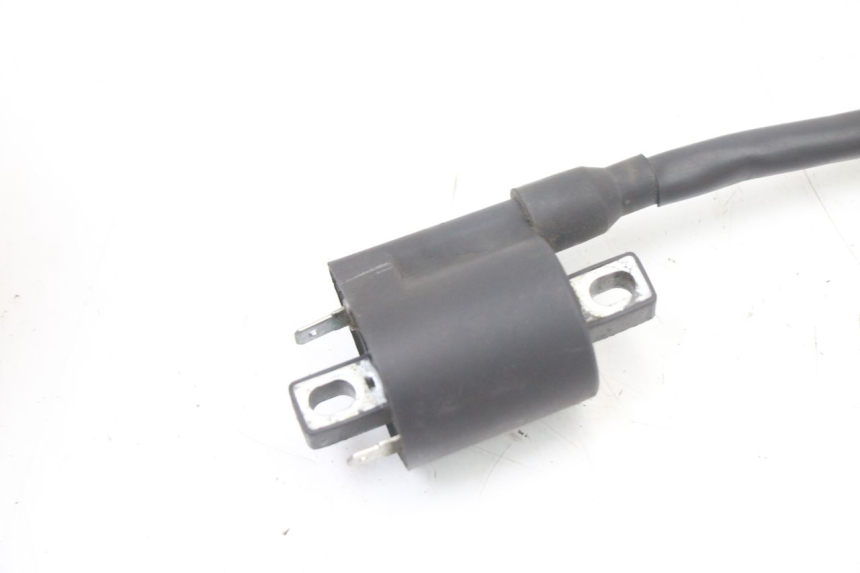 photo de ZüNDSPULE TNT MOTOR ROMA 10' 4T 50 (2019 - 2022) - Technische Nahaufnahme