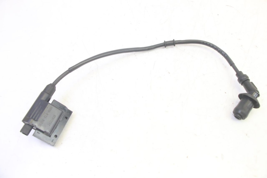 photo de ZÜNDSPULE PEUGEOT TWEET PRO EFI 4T 50 (2021 - 2022) - Hauptansicht