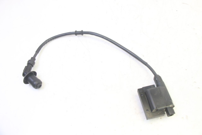 photo de ZÜNDSPULE PEUGEOT TWEET PRO EFI 4T 50 (2021 - 2022) - Technische Nahaufnahme