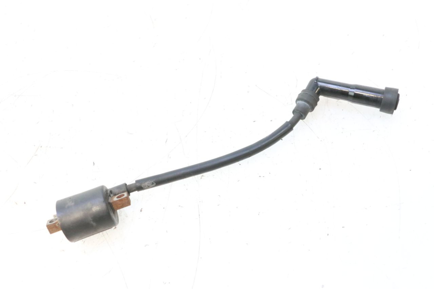 photo de ZüNDSPULE YAMAHA YP MAJESTY 125 (1998 - 2001) - Alternative Perspektive