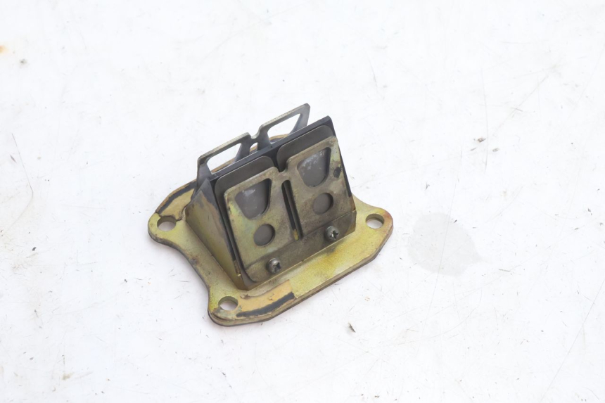 photo de MEMBRANBLOCK HONDA FES PANTHEON 2T 125 (1998 - 2002) - Hauptansicht