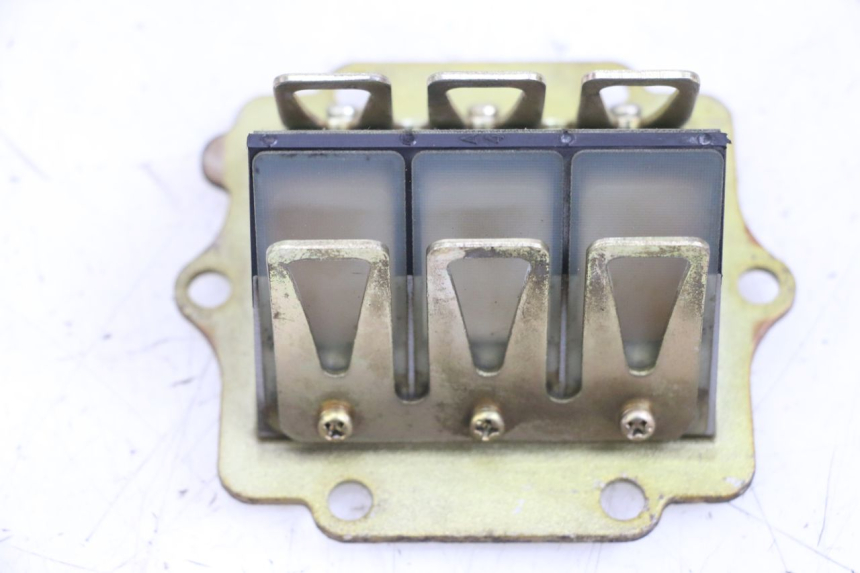 photo de MEMBRANBLOCK KAWASAKI KDX 125 (1990 - 1991) - Technische Nahaufnahme