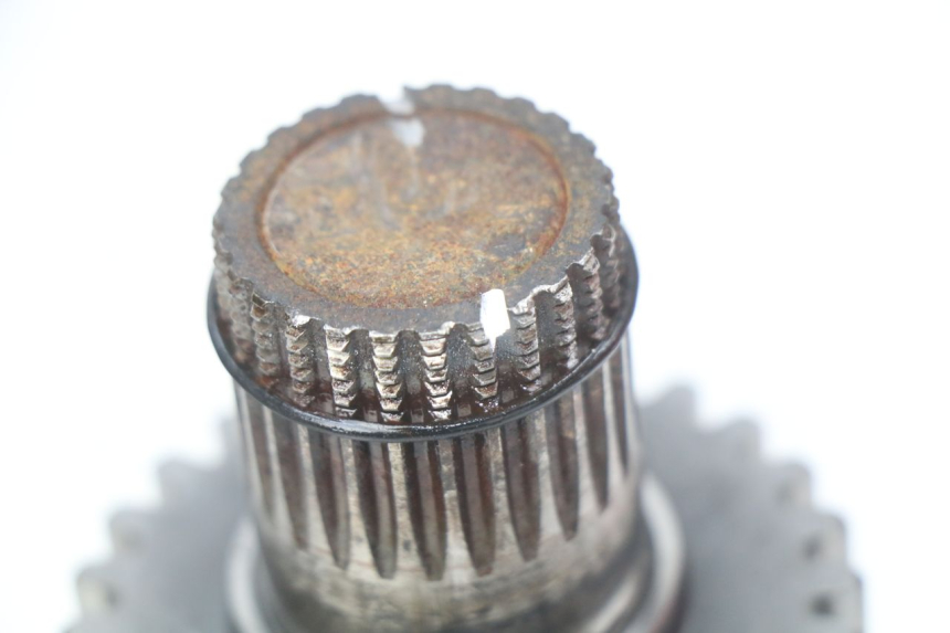 photo de GETRIEBE ROYAL ENFIELD BULLET CLASSIC 500 (2017 - 2020) - Alternative Perspektive