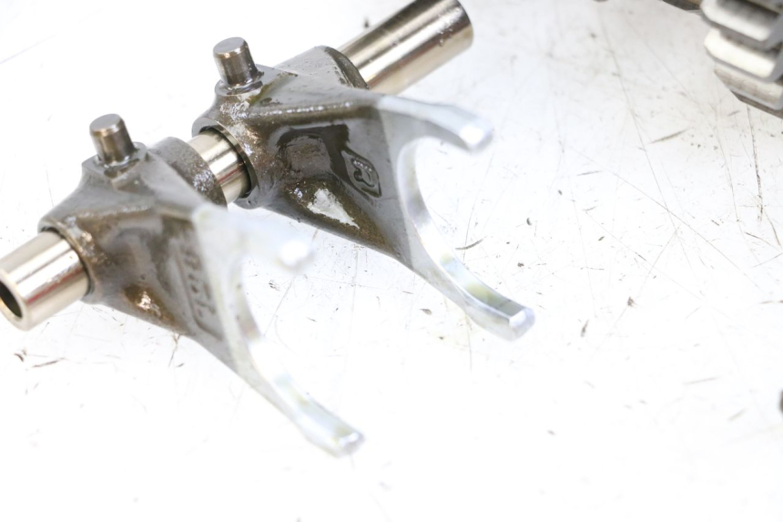 photo de GETRIEBE  HONDA CRF R 250 (2020 - 2021) - Alternative Perspektive