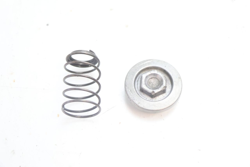 photo de ÖLDECKEL HONDA FES S-WING SWING ABS 125 (2007 - 2015) - Hauptansicht