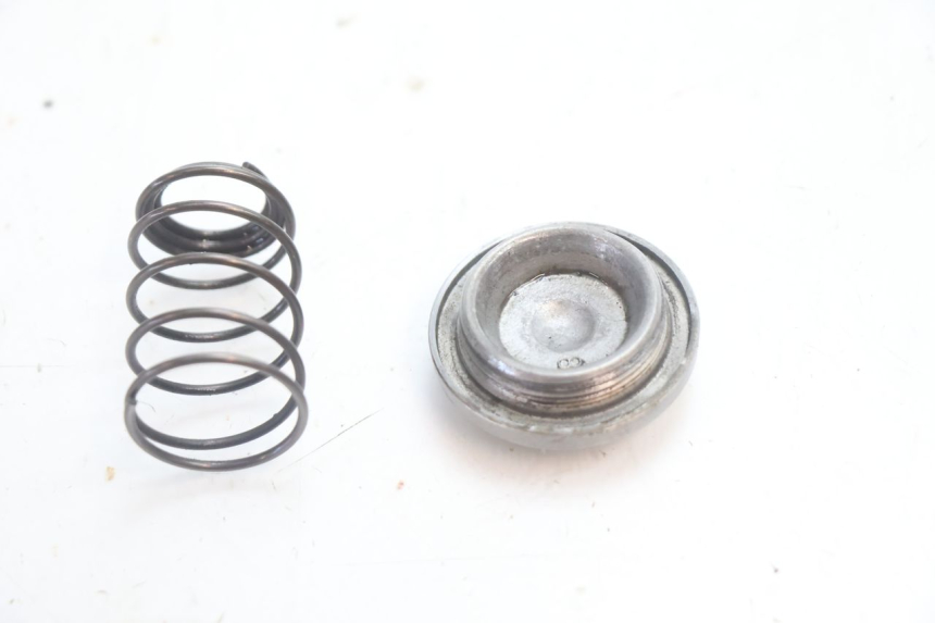 photo de ÖLDECKEL HONDA FES S-WING SWING ABS 125 (2007 - 2015) - Zoom auf Gebrauchszustand