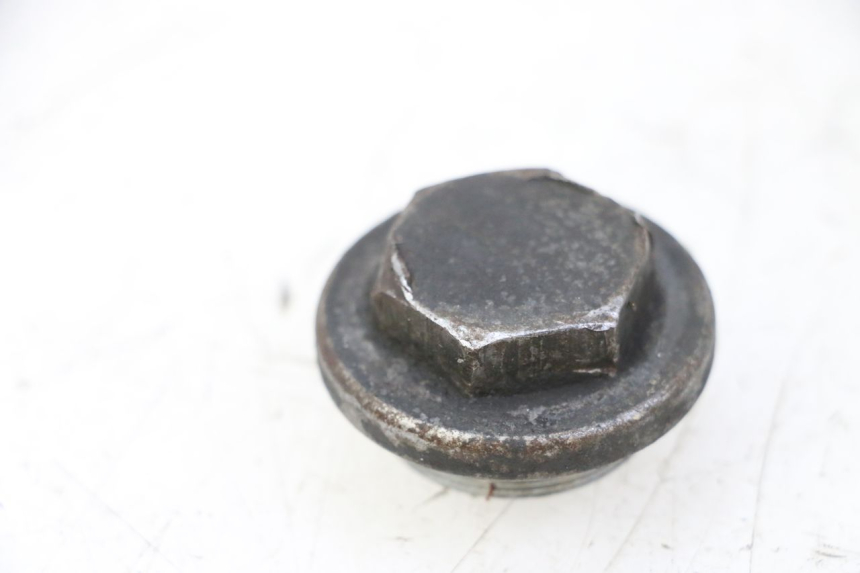 photo de ÖLWANNE-DECKEL PIAGGIO MP3 RL 250 (2006 - 2010) - Hauptansicht