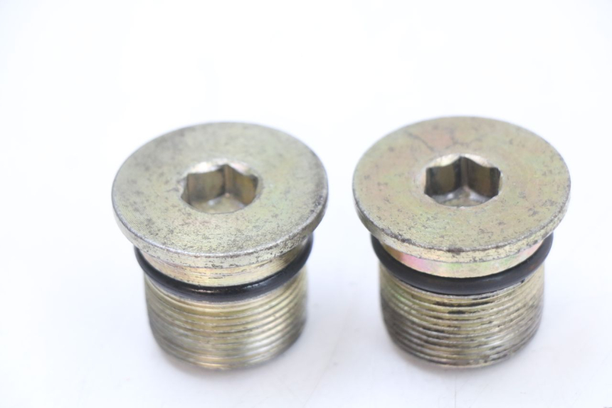 photo de GABELKAPPE JONWAY AZTRAL 125 (2008 - 2017) - Hauptansicht