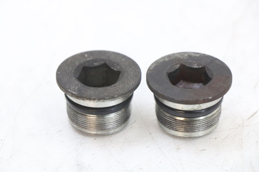 photo de GABELKAPPE PIAGGIO X10 125 (2012 - 2017) - Hauptansicht