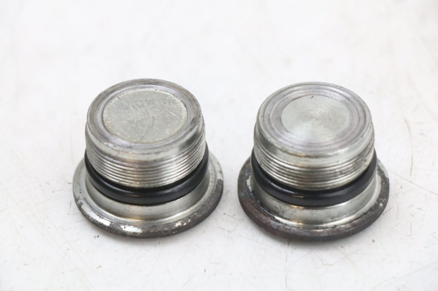 photo de GABELKAPPE PIAGGIO X10 125 (2012 - 2017) - Zoom auf Gebrauchszustand