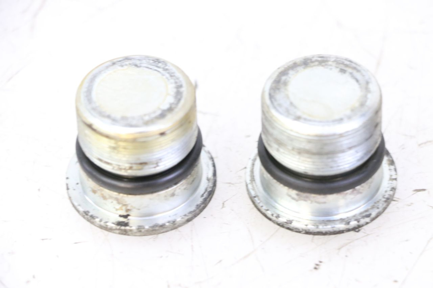 photo de GABELKAPPE PIAGGIO X9 EVOLUTION 125 (2003 - 2007) - Alternative Perspektive