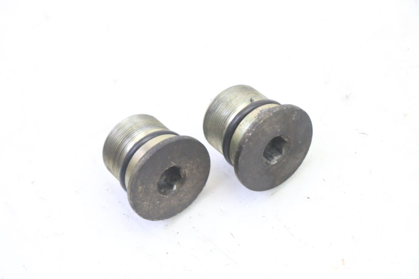 photo de GABELKAPPE PIAGGIO X9 EVOLUTION 125 (2003 - 2007) - Zoom auf Gebrauchszustand