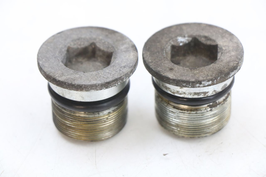 photo de GABELKAPPE PIAGGIO X9 125 (2000 - 2003) - Hauptansicht