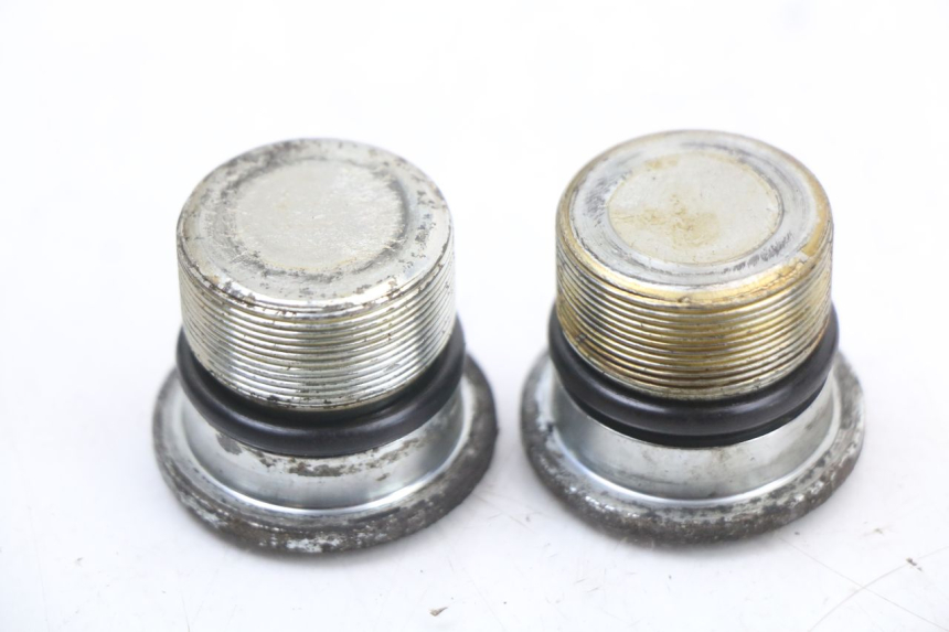 photo de GABELKAPPE PIAGGIO X9 125 (2000 - 2003) - Alternative Perspektive