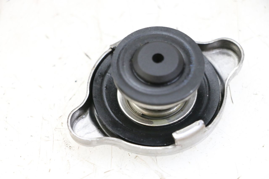 photo de KÜHLERDECKEL BMW S RR ABS S1000RR 1000 (2015 - 2018) - Alternative Perspektive