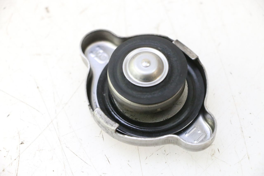photo de KÜHLERDECKEL SUZUKI BURGMAN EXECUTIVE ABS 650 (2006 - 2012) - Hauptansicht