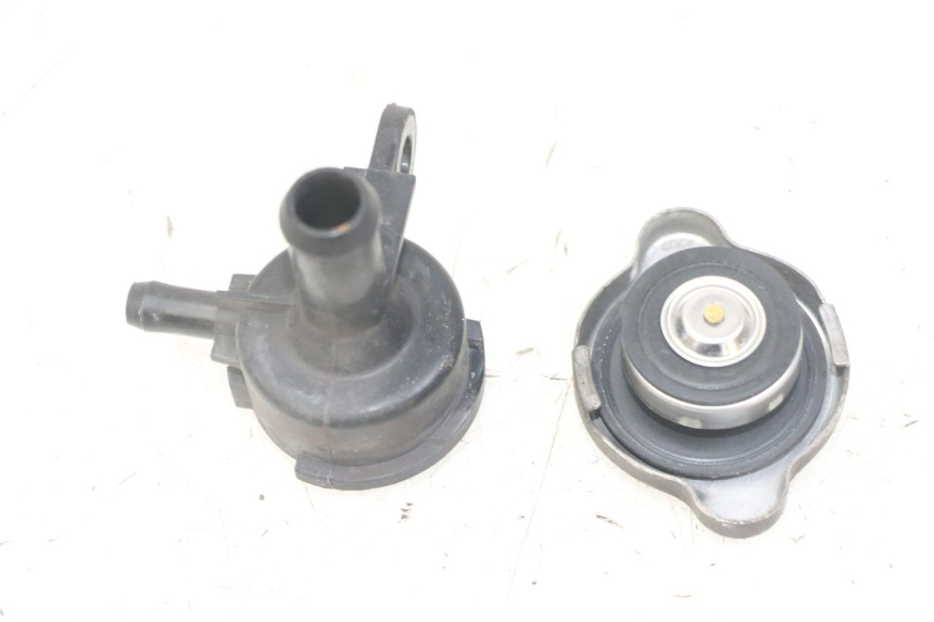 photo de KÜHLERDECKEL HONDA FORZA ABS 300 (2013 - 2017) - Alternative Perspektive