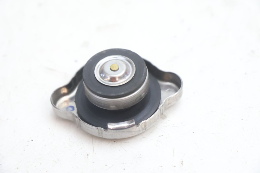 photo de KÜHLERDECKEL KYMCO GRAND DINK 125 (2008 - 2014) - Alternative Perspektive