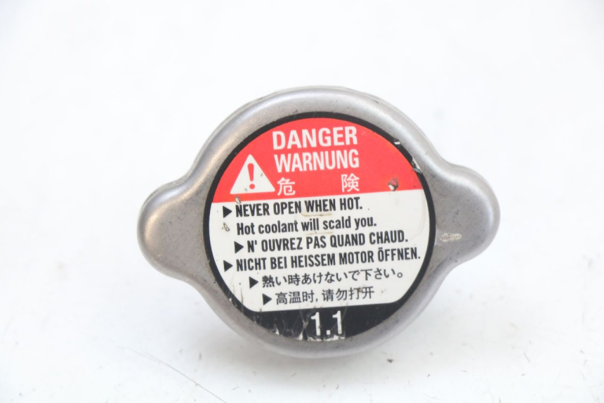 photo de KÜHLERDECKEL HONDA FES S-WING SWING 125 (2007 - 2015) - Hauptansicht