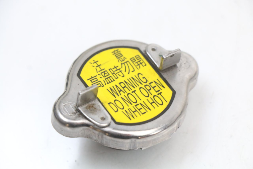 photo de KÜHLERDECKEL SYM JOYRIDE EVO 125 (2009 - 2016) - Hauptansicht