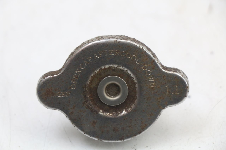 photo de KÜHLERDECKEL REGAL RAPTOR SPYDER 125 (2010 - 2018) - Hauptansicht