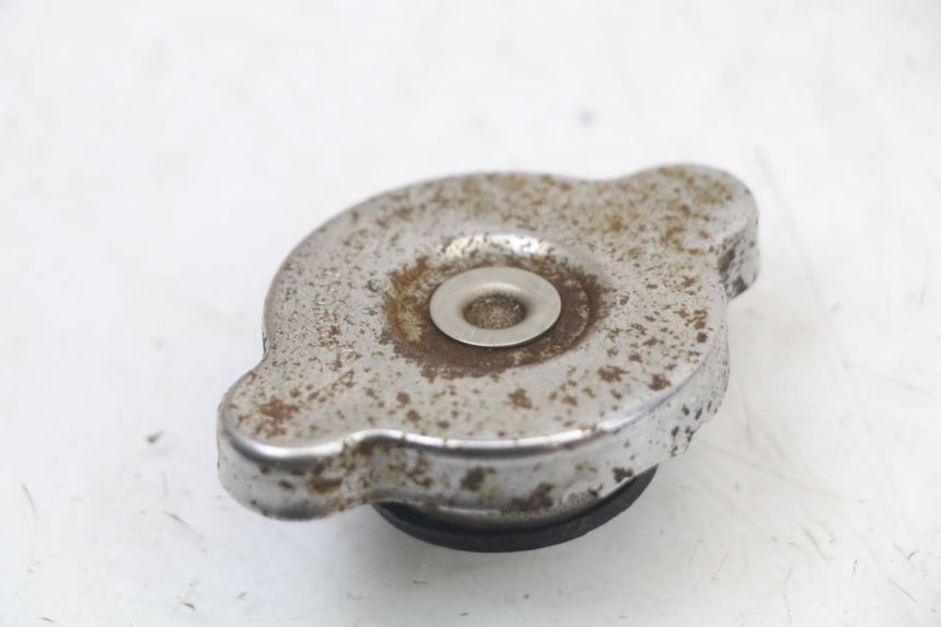 photo de KÜHLERDECKEL REGAL RAPTOR SPYDER 125 (2010 - 2018) - Detailansicht des Bauteils