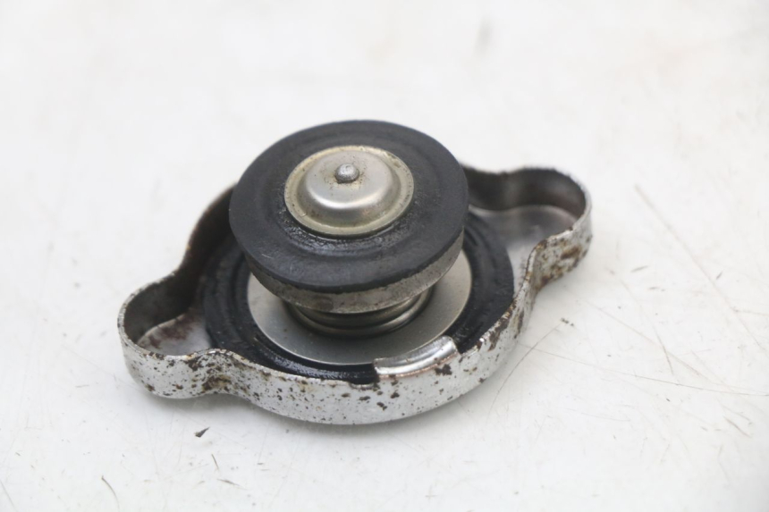 photo de KÜHLERDECKEL REGAL RAPTOR SPYDER 125 (2010 - 2018) - Alternative Perspektive