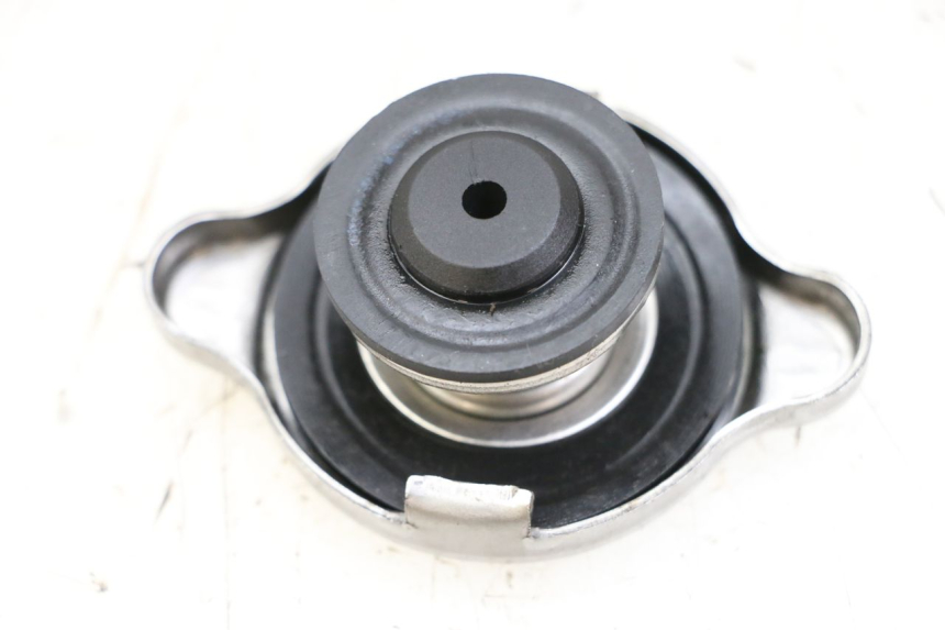 photo de KÜHLERDECKEL BMW S RR ABS S1000RR 1000 (2015 - 2018) - Hauptansicht