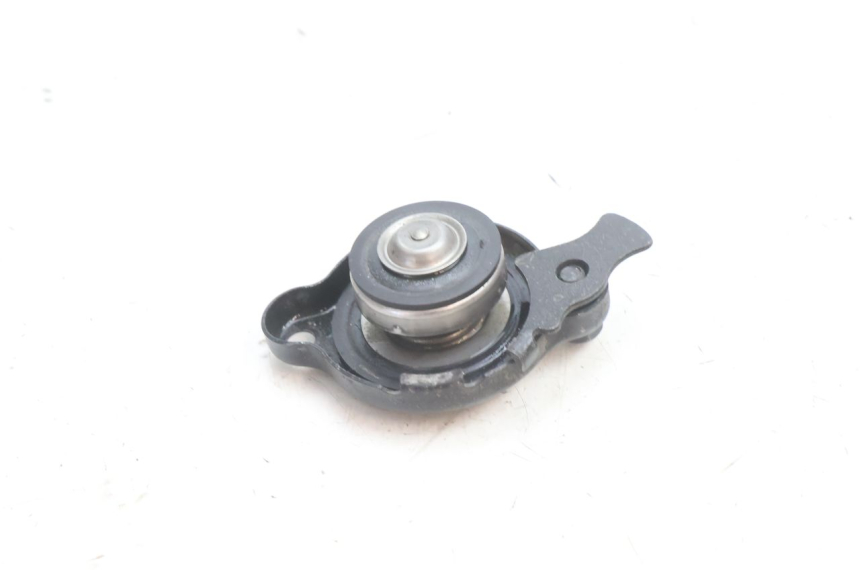 photo de KÜHLERDECKEL YAMAHA TDM ABS 900 (2002 - 2014) - Zoom auf Gebrauchszustand