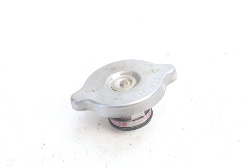 photo de KÜHLERDECKEL HUSABERG TE 250 (2011 - 2014) - Detailansicht des Bauteils