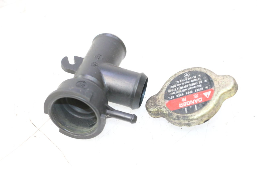 photo de KÜHLERDECKEL HONDA VFR FI RC46 800 (1998 - 2001) - Zoom auf Gebrauchszustand