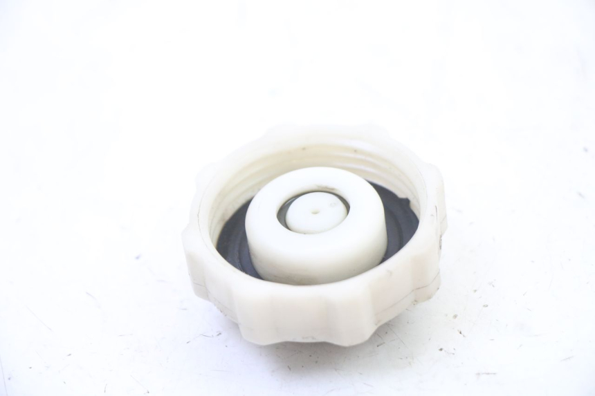 photo de AUSDEHNUNGSBEHÄLTERDECKEL PEUGEOT ELYSEO 125 (1999 - 2004) - Zoom auf Gebrauchszustand