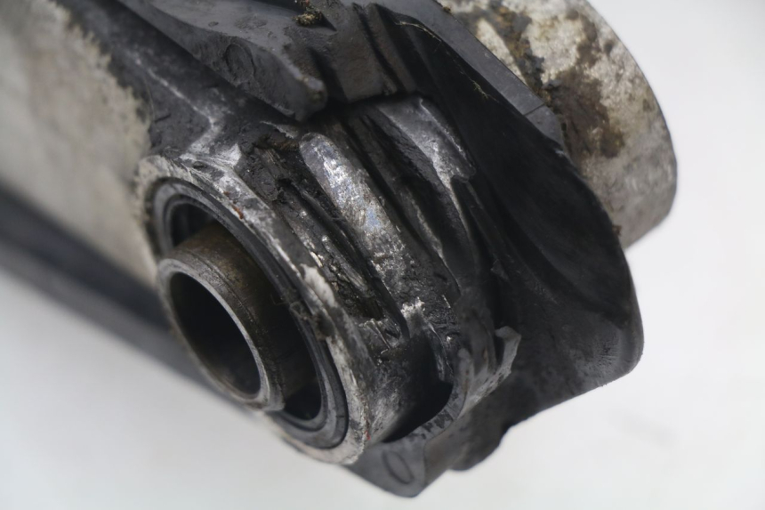 photo de SCHWINGE HONDA CR 125 (2000 - 2001) - Alternative Perspektive